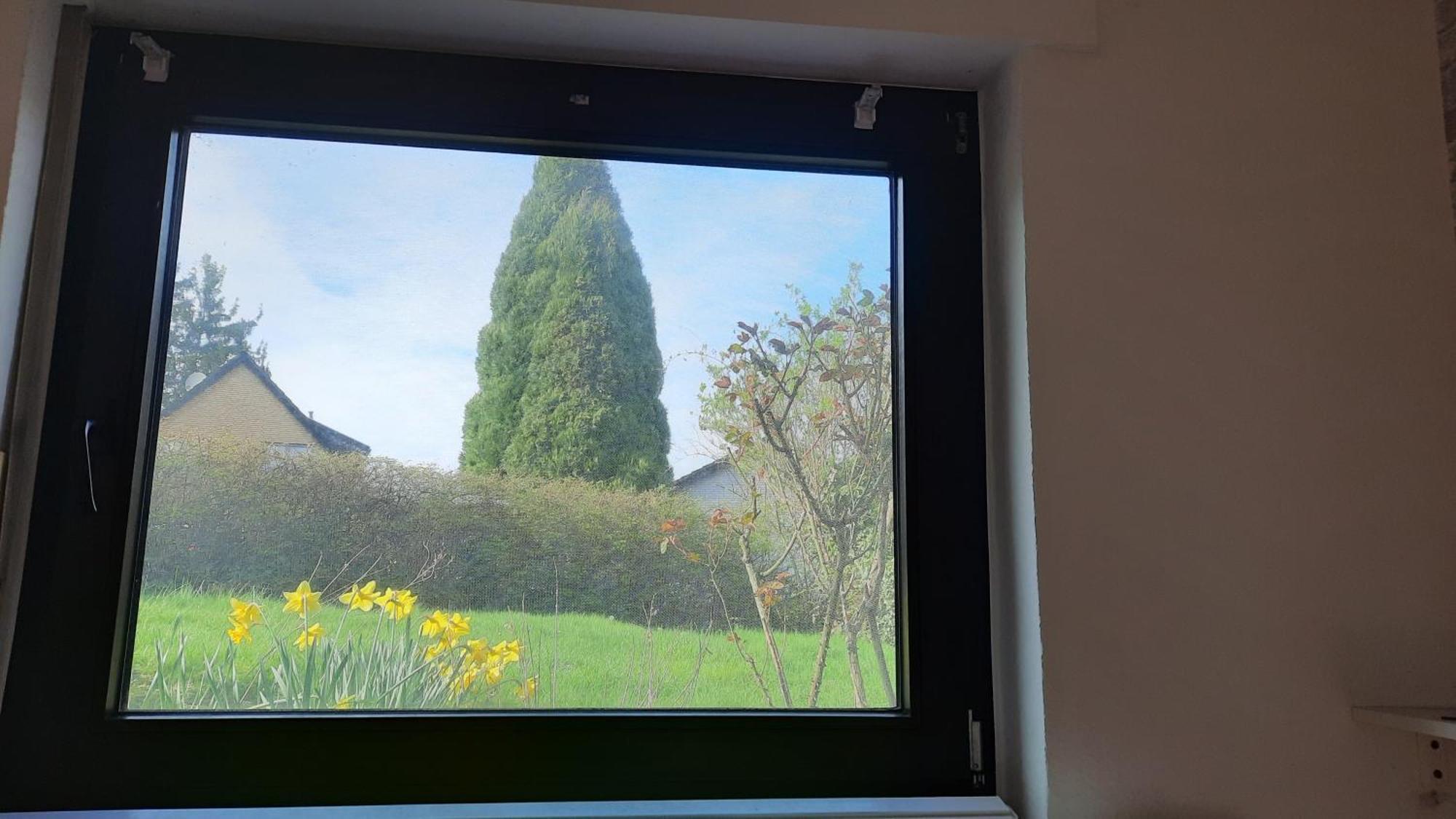 Kleine Ferienwohnung In Ruhiger Lage Herzogenrath Zewnętrze zdjęcie
